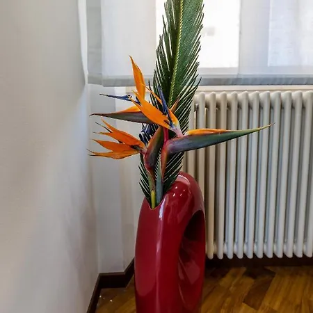 Nocleg ze śniadaniem I Barcaioli *